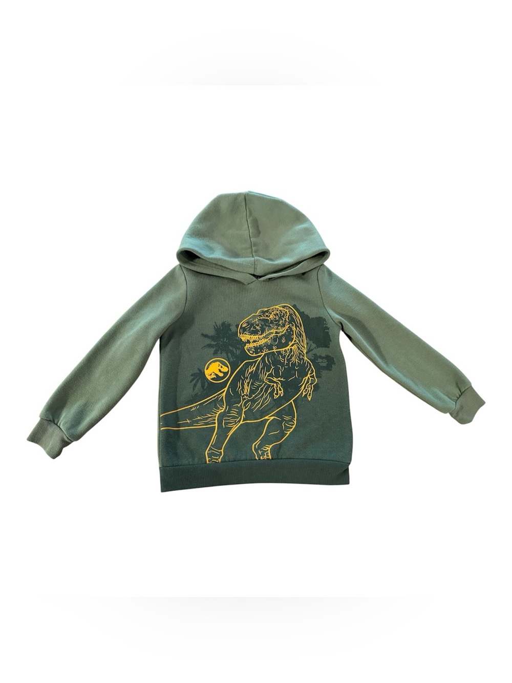 Jurassic World Green Dinosaur Graphic Hoodie Sweatshirt Boys 5T